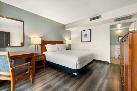 Vagabond Inn - 33
