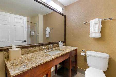 Comfort Suites - 46