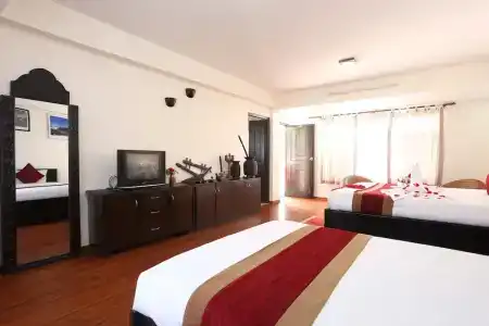 Thamel Eco - 66