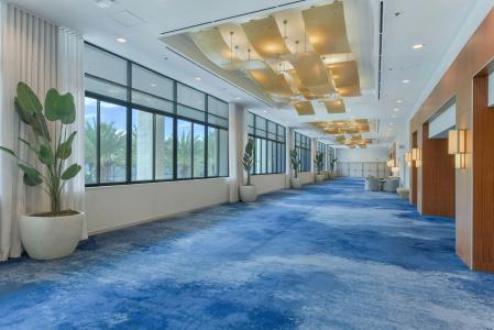 Hilton Anaheim - 37