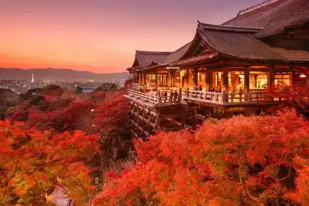 WeBase Kyoto - 14