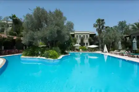 Zeytinada - 17