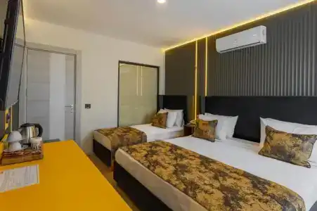 Tema 242 - 63