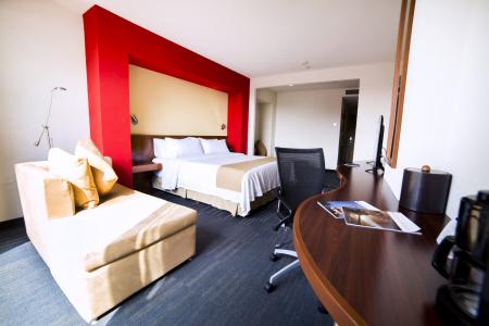 Holiday Inn Express Guadalajara Expo, An Ihg - 44