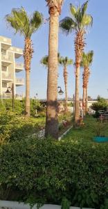 Özgürhan Otel - 31