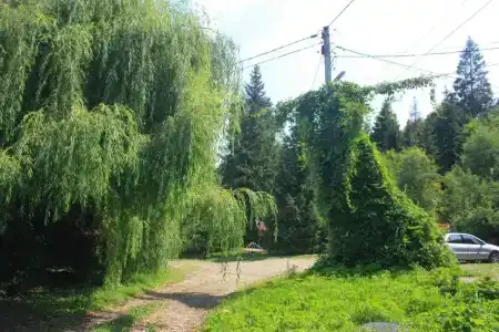 Zarinok - 20
