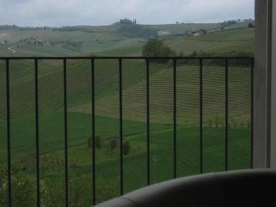 Red Wine Camere - 40