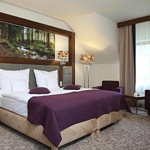 Mercure Krynica Zdrój Resort&Spa - 37