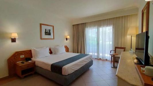 Camel Dive Club & - Boutique - 5
