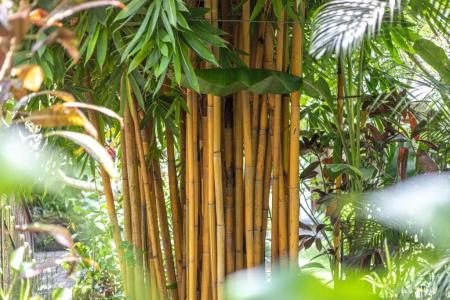 Meruhdani Boutique Ubud - Chse Certified - 32