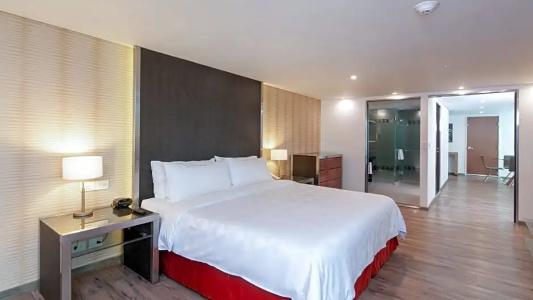 Holiday Inn Buenavista, An Ihg - 56