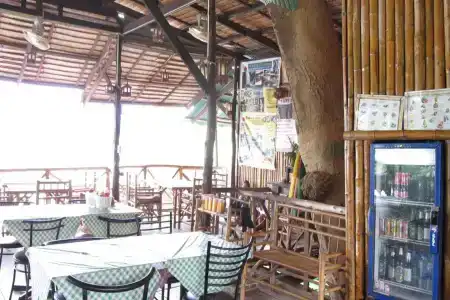 Sugar Cane 1 - 11