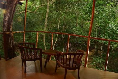 Back of Beyond - Pidurangala - 50