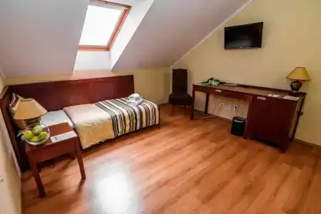 Eco Friendly Dália - 31