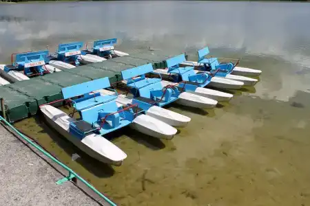 Алеся - 11