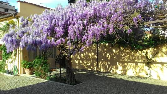 Villino Fiorentino - 61