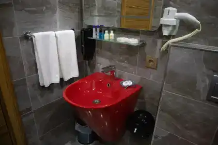 La Wisteria Boutique Istanbul - 7