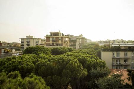 Calypso- Rimini Marina Centro - 18