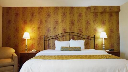 Best Western Court - 29