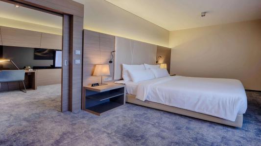 Radisson Blu Plaza Ljubljana - 49