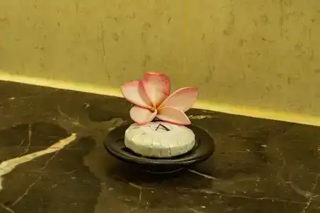 Aanari & Spa - 36
