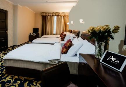 Aria Chisinau - 6