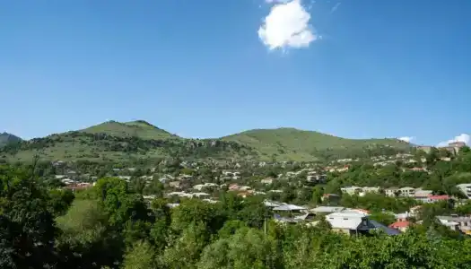 Mirhav - 16