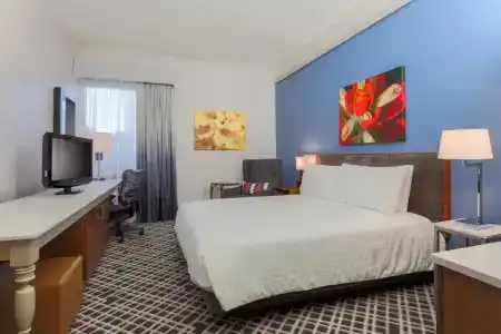 Hilton Garden Inn Dallas/Market Center - 51