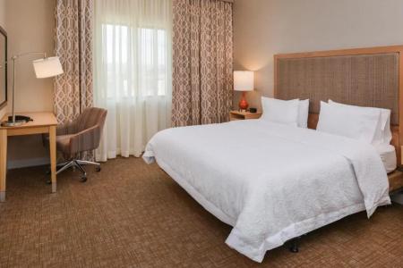 Hampton Inn & Suites Denver-Speer Boulevard - 55