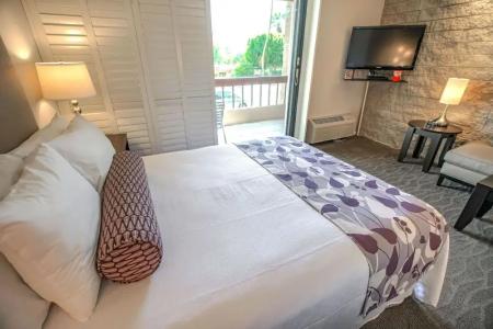 Palm Springs Tennis Club - 71