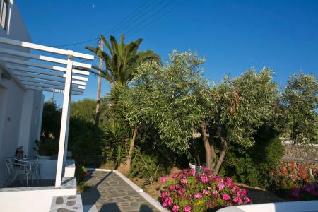 Anna-Maria Mykonos - 23