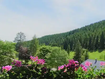 Schwarzwald ApartKräutle - 30