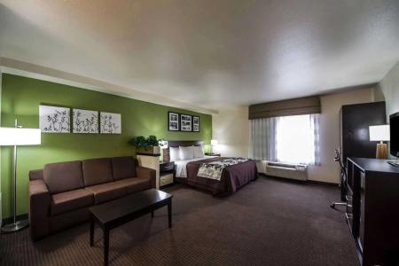 Sleep Inn and Suites Central / I-44 - 5