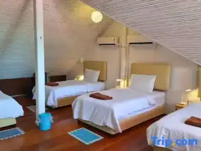 Alpha Gay Resort & Spa - 59
