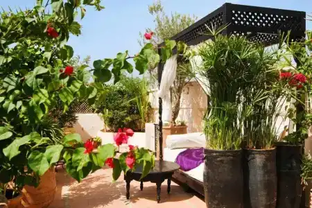Riad Dar El Souk - 9