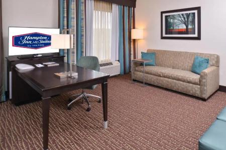 Hampton Inn & Suites - 53