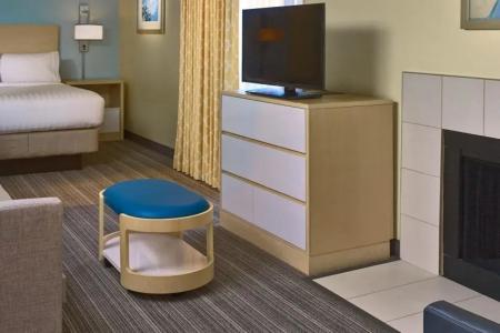 Sonesta ES Suites - 23