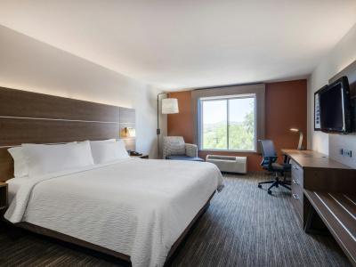 Holiday Inn Express & Suites Tucson, An Ihg - 41
