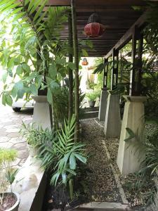 Thambapanni Retreat - 40