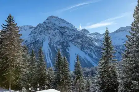 Blatter's Arosa & Bella Vista Spa - 34