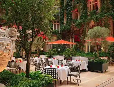 Hôtel Plaza Athénée - Dorchester Collection - 17