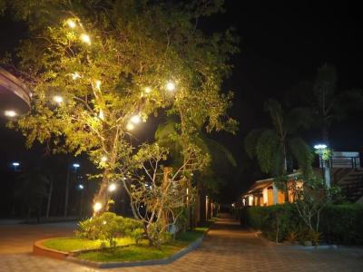 Green Terrace Resort - 144