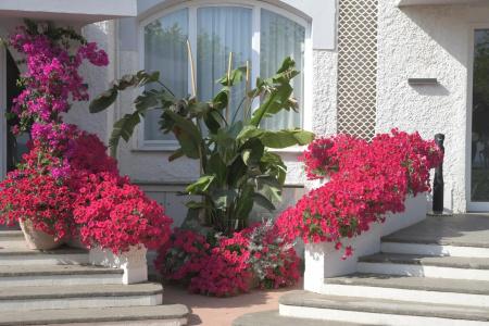 Bajamar Beach - 19