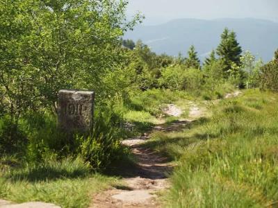 Nationalpark-Schliffkopf - 29