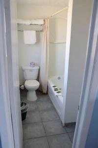 Falcon Inn - 29