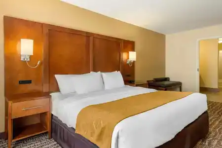Comfort Suites - 5