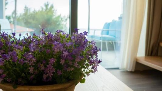 Costa Domus Blue Luxury - 218