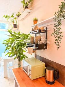 Fox-Box Dresden - 46