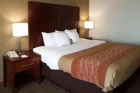 Comfort Inn I-10 West at 51st Ave - 33