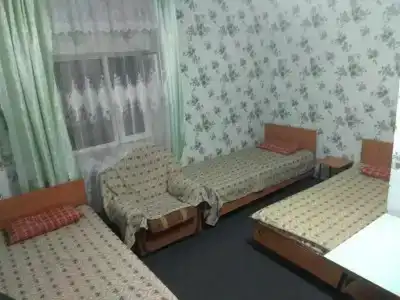 Подсолнухи - 78